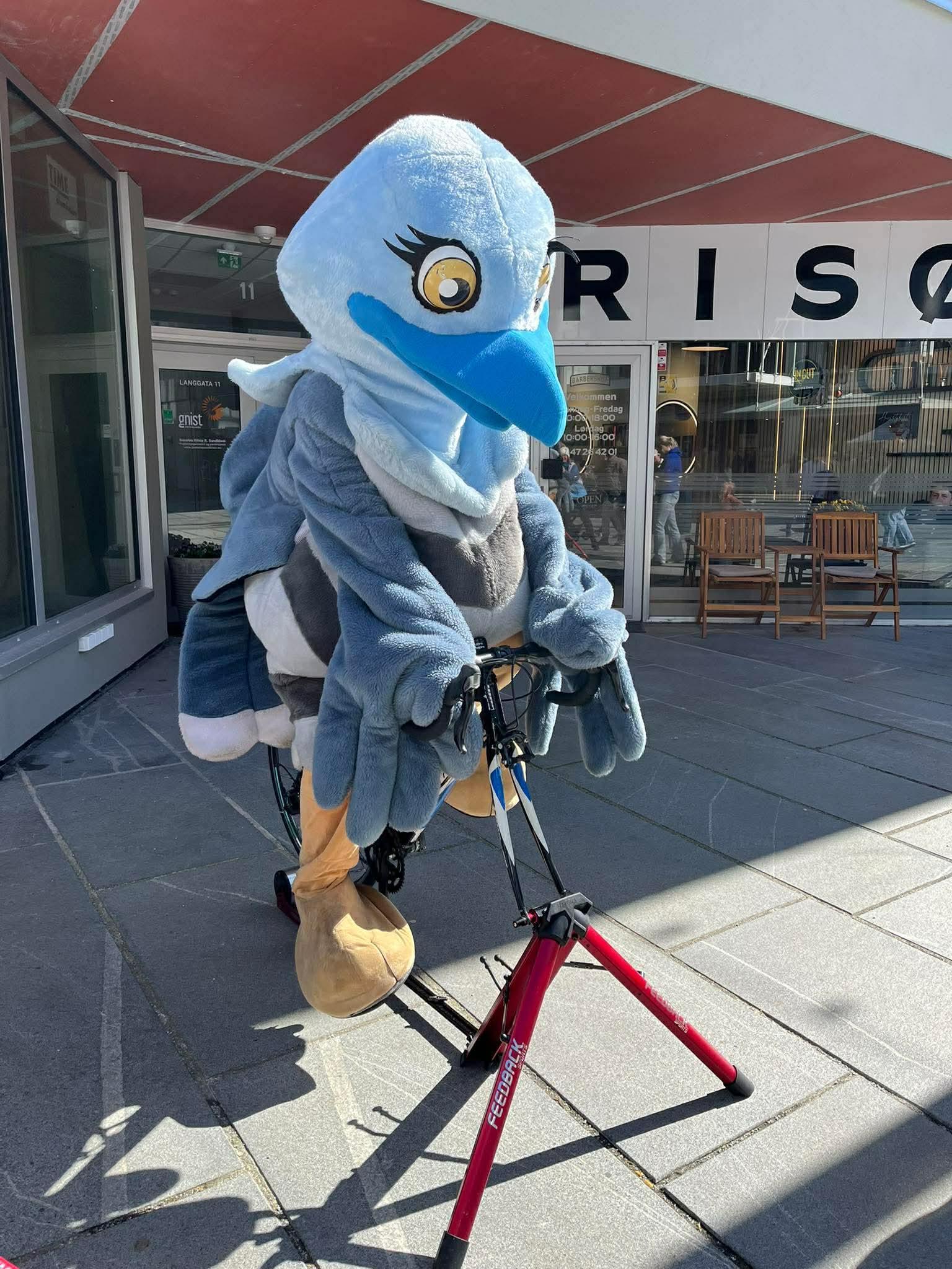 Custom image